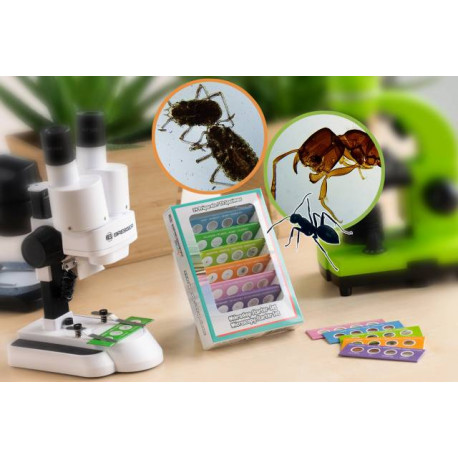 BRESSER Junior Mikroskop Starter Kit BRESSER Junior Mikroskop Starter Kit