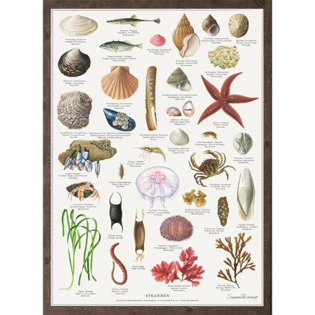 Plakat A2: Stranden Plakat A2: Stranden