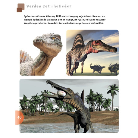 Bog: Dinosaurer og andre øgler fra fortiden Bog: Dinosaurer og andre øgler fra fortiden
