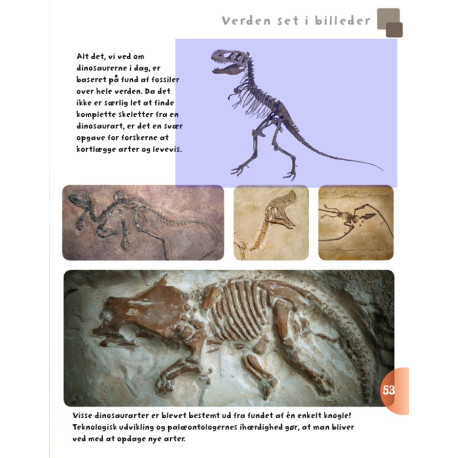 Bog: Dinosaurer og andre øgler fra fortiden Bog: Dinosaurer og andre øgler fra fortiden