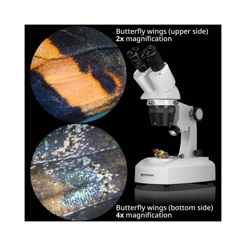 BRESSER Researcher ICD LED 20x-80x Stereo Microscope BRESSER Researcher ICD LED 20x-80x Stereo Microscope