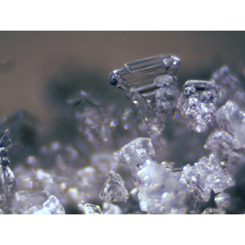 BRESSER Science ETD-201 8-50x Trino Zoom Stereo-Microscope BRESSER Science ETD-201 8-50x Trino Zoom Stereo-Microscope
