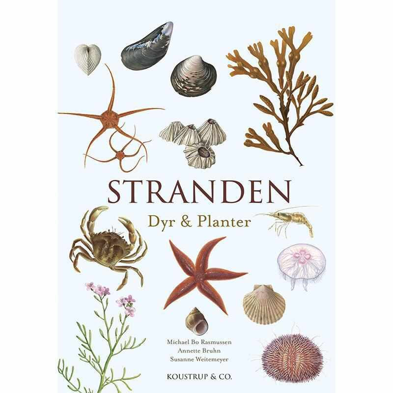 Bog: Stranden Dyr og Planter Bog: Stranden Dyr og Planter