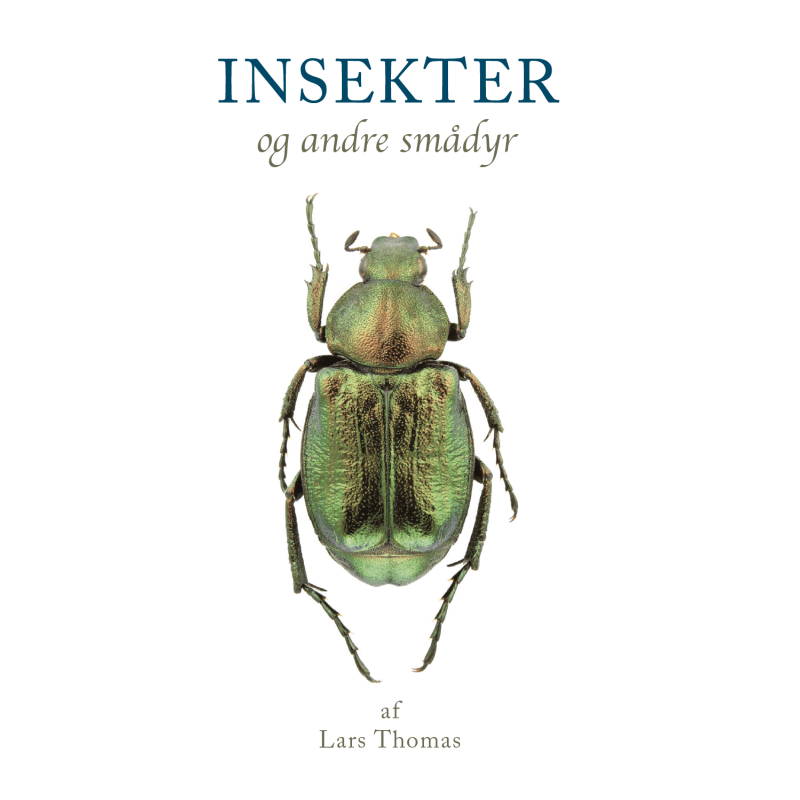 Insekter og andre små dyr Insekter og andre små dyr