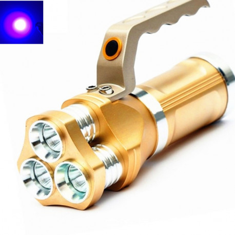 Amber Eye Gold - 30W Amber Eye Gold - 30W