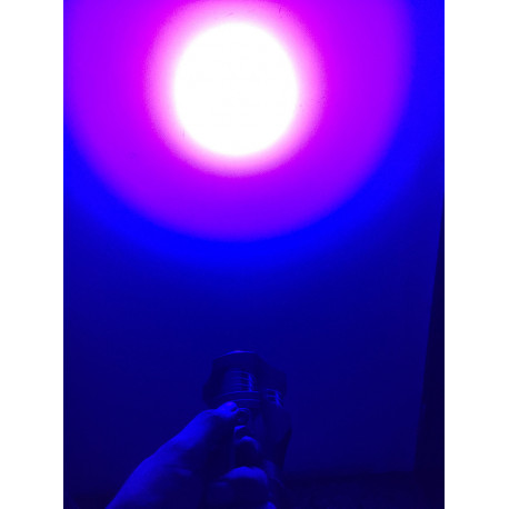 Amber Eye Gold - 30W Amber Eye Gold - 30W