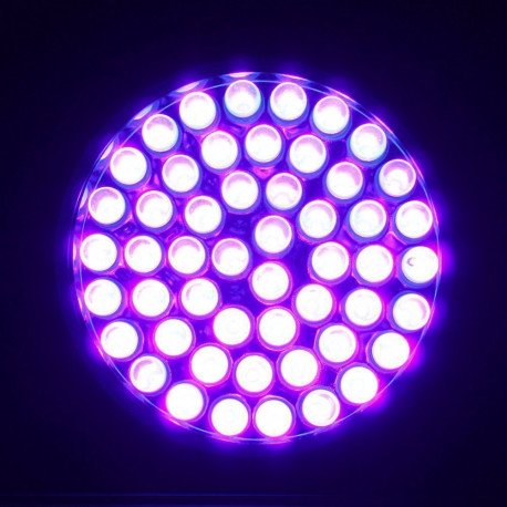 Ravlygte Amber Light Original 51uv dioder Ravlygte Amber Light Original 51uv dioder