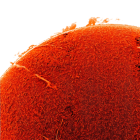 Sol observation
